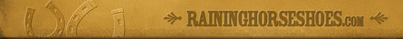 raininghorseshoes.com